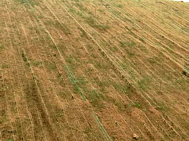 環(huán)保草毯出現(xiàn)不長(zhǎng)草的現(xiàn)象應(yīng)該怎么解決？